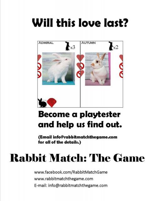 Rabbit Match Playtester Ad